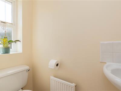 Picture 15